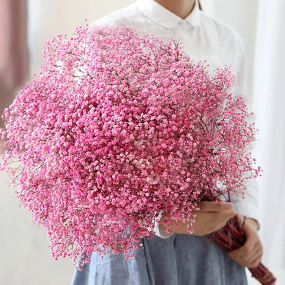 Flores de Paniculata Secas Naturales de 40-50cm – Ramo de Gypsophila Paniculata para Decoración de Bodas, Regalos y Decoración Floral del Hogar