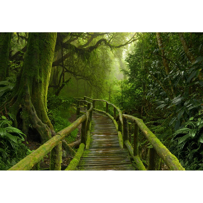 Tropical Jungle Rainforest Backdrop – Spring Forest Photography Background for Camping, Adventure, Birthday Parties & Photo Studio Decor