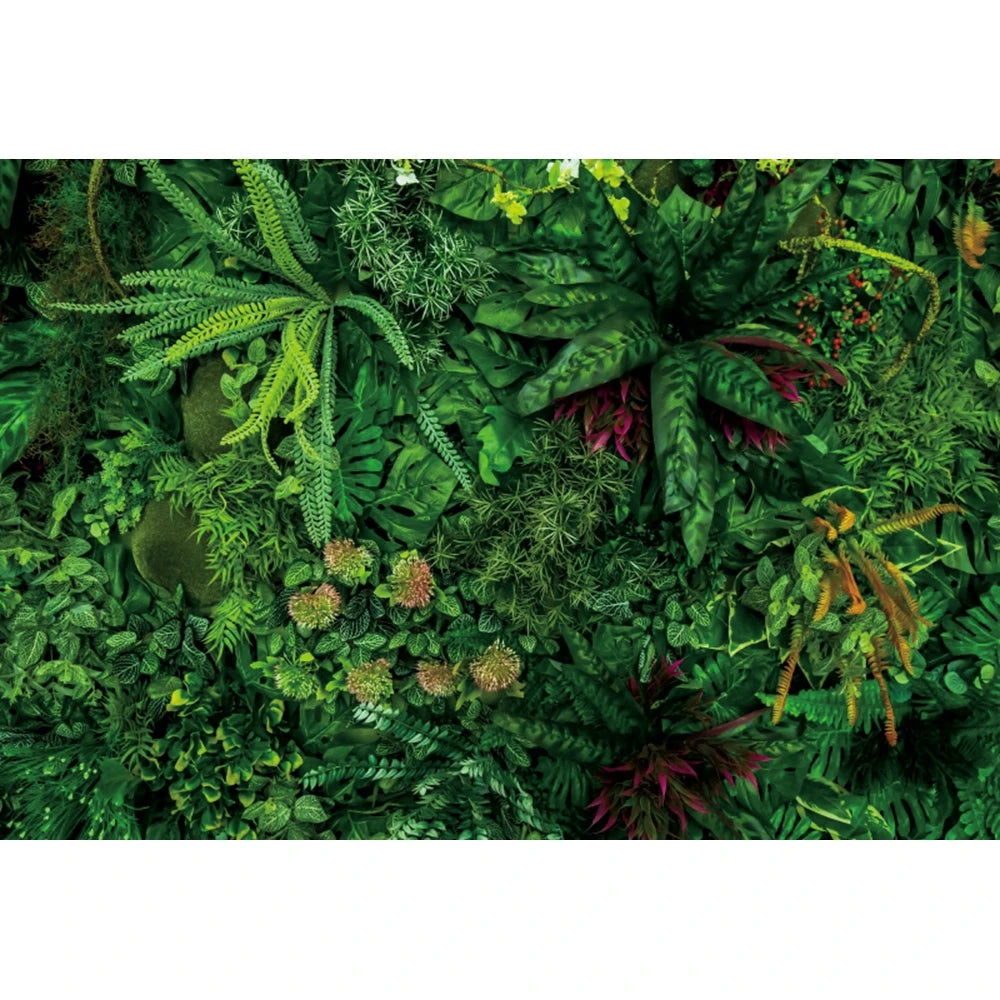 Tropical Jungle Rainforest Backdrop – Spring Forest Photography Background for Camping, Adventure, Birthday Parties & Photo Studio Decor