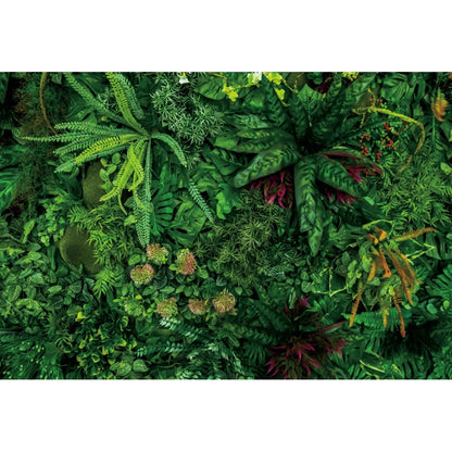 Tropical Jungle Rainforest Backdrop – Spring Forest Photography Background for Camping, Adventure, Birthday Parties & Photo Studio Decor