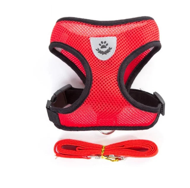 Reflective Dog & Cat Harness with Leash – Adjustable Breathable Mesh Vest for Small Pets