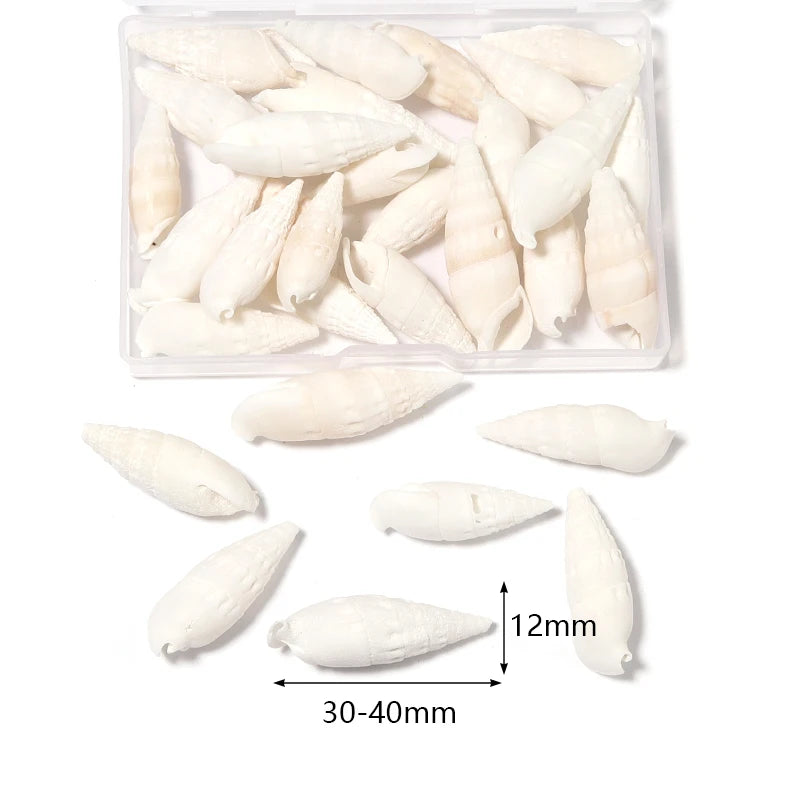 1 Box Tiny Sea Shells – Natural Spiral Seashell & Mini Conch Craft Pieces for Aquarium Decoration, Landscaping, DIY Crafts & Photography Props