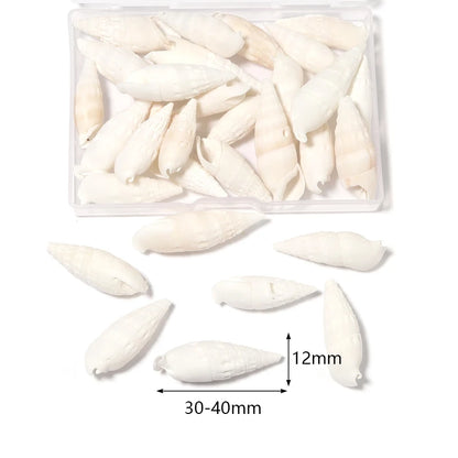 1 Box Tiny Sea Shells – Natural Spiral Seashell & Mini Conch Craft Pieces for Aquarium Decoration, Landscaping, DIY Crafts & Photography Props