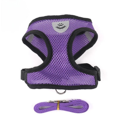 Reflective Dog & Cat Harness with Leash – Adjustable Breathable Mesh Vest for Small Pets