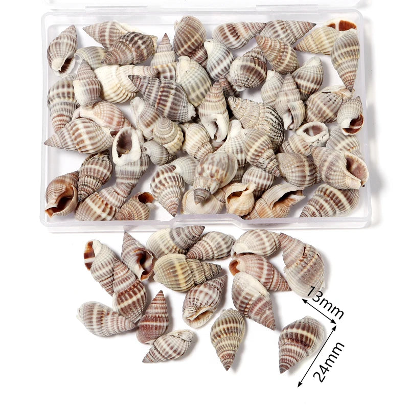 1 Box Tiny Sea Shells – Natural Spiral Seashell & Mini Conch Craft Pieces for Aquarium Decoration, Landscaping, DIY Crafts & Photography Props