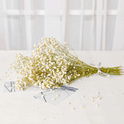 Flores de Paniculata Secas Naturales de 40-50cm – Ramo de Gypsophila Paniculata para Decoración de Bodas, Regalos y Decoración Floral del Hogar