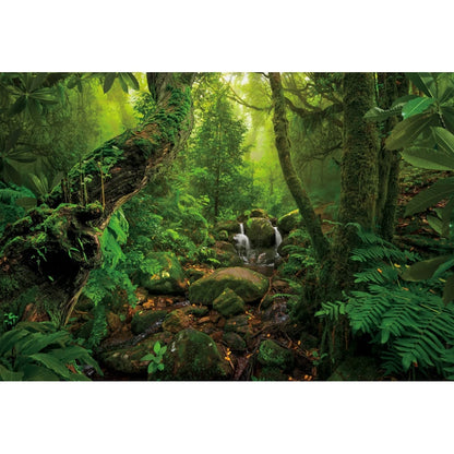 Tropical Jungle Rainforest Backdrop – Spring Forest Photography Background for Camping, Adventure, Birthday Parties & Photo Studio Decor