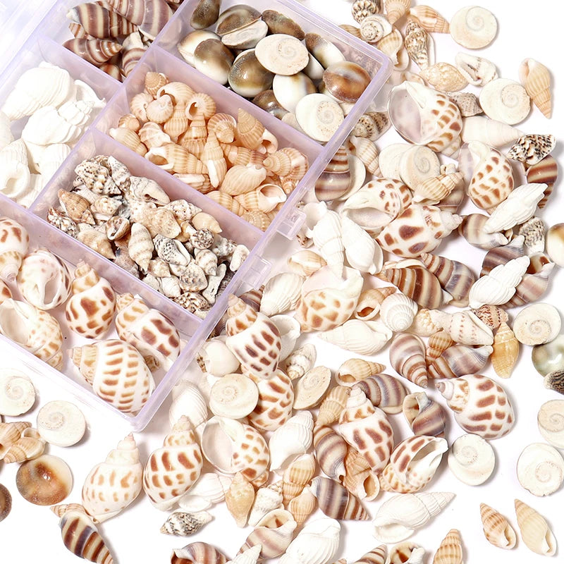 1 Box Tiny Sea Shells – Natural Spiral Seashell & Mini Conch Craft Pieces for Aquarium Decoration, Landscaping, DIY Crafts & Photography Props
