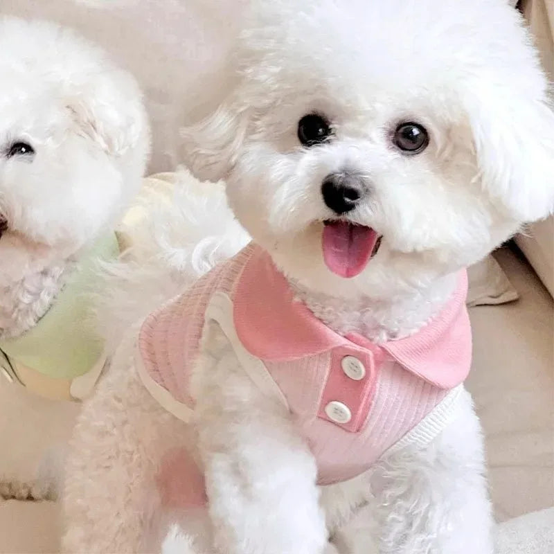 Camiseta de verano para perros, ligera, para cachorros, ropa transpirable para mascotas, camiseta para perros pequeños, ropa de primavera para perros