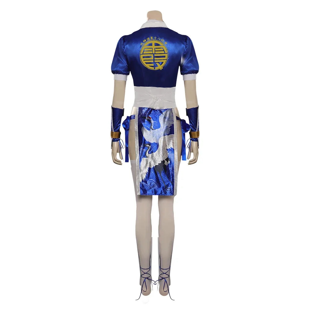 Dead or Alive Anime Cosplay Costume for Women – Fighting Game Roleplay Outfit for Halloween, Carnival & Party Wear