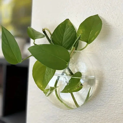 Wall Hanging Glass Terrarium Planter – Self-Watering Hydroponic Crystal Vase for Home & Office Décor (2/4/6 Pack)