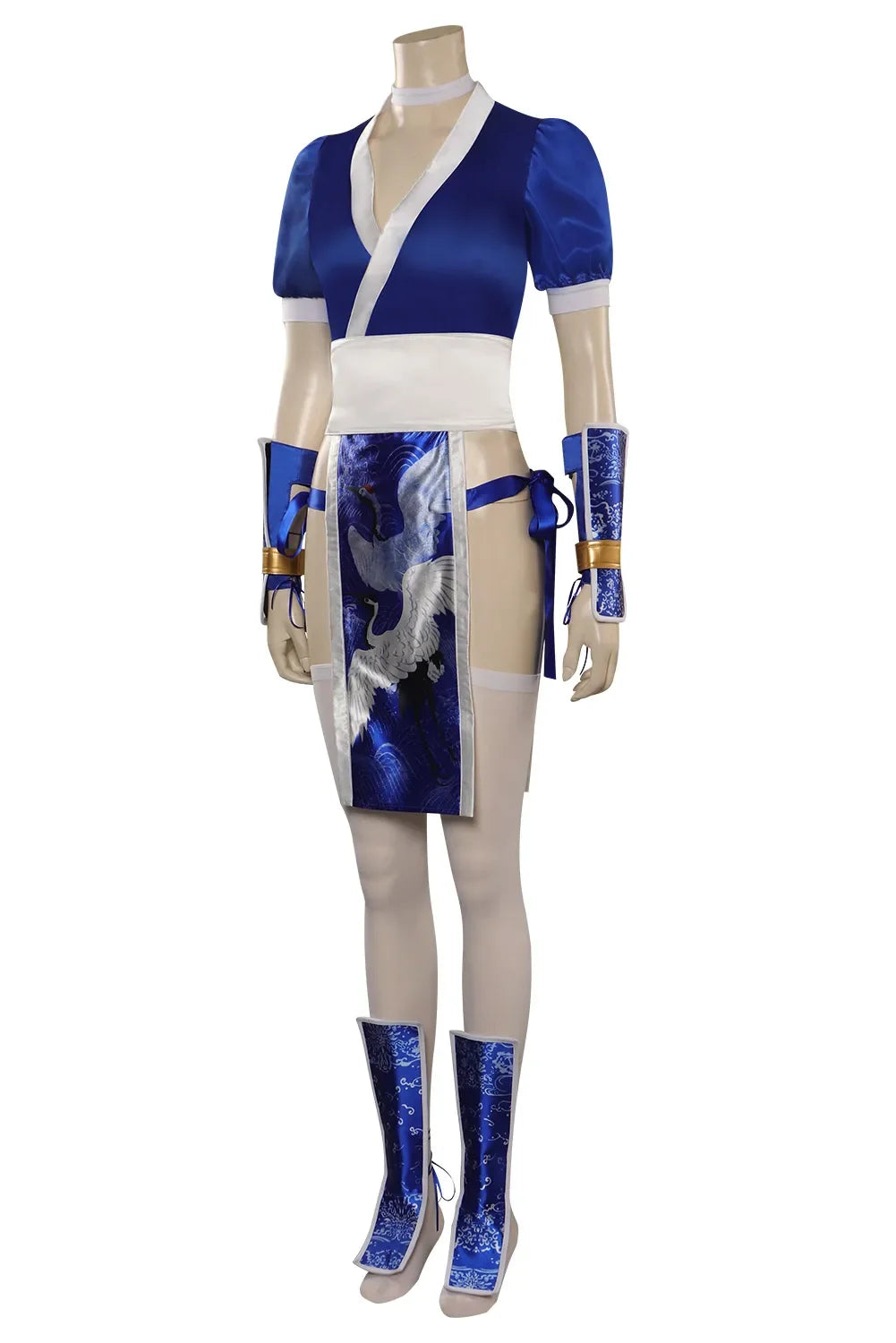 Dead or Alive Anime Cosplay Costume for Women – Fighting Game Roleplay Outfit for Halloween, Carnival & Party Wear