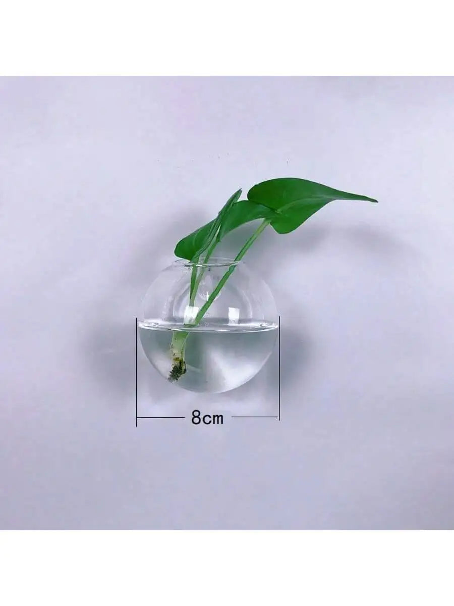Wall Hanging Glass Terrarium Planter – Self-Watering Hydroponic Crystal Vase for Home & Office Décor (2/4/6 Pack)