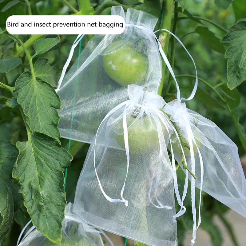 50 sacs de protection pour fruits de vigne – Filets de protection anti-oiseaux pour raisins, plantes de jardin, contrôle des nuisibles, protection des arbres fruitiers et fournitures de jardinage agricole