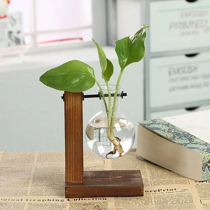 Glass Hydroponic Plant Terrarium Vase – Desktop Planter for Home, Office & Indoor Greenery Décor