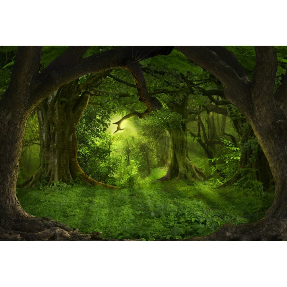 Tropical Jungle Rainforest Backdrop – Spring Forest Photography Background for Camping, Adventure, Birthday Parties & Photo Studio Decor