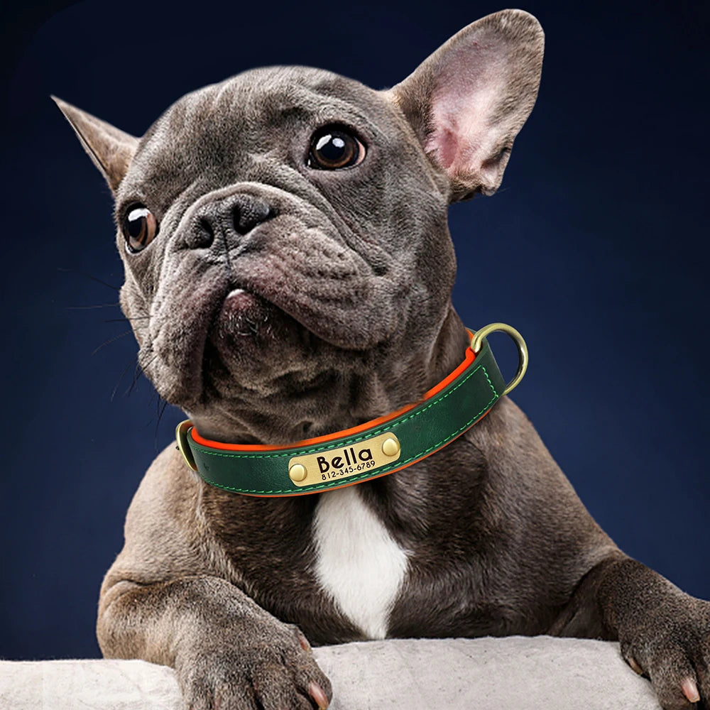 Collar de perro de piel sintética personalizado con placa de identificación grabada gratuita – Collar ajustable suave acolchado para perros pequeños, medianos y grandes