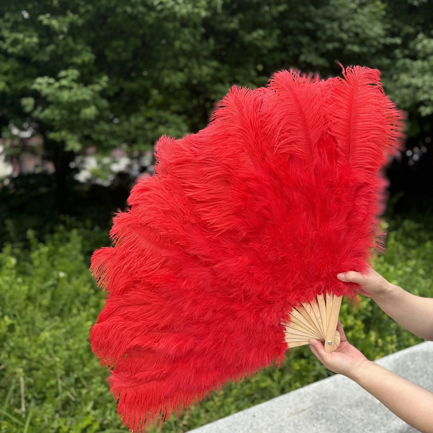 Abanico Grande de Plumas de Avestruz Blancas – Elegante Abanico para Baile y Actuaciones Escénicas (100 cm / 130 cm)