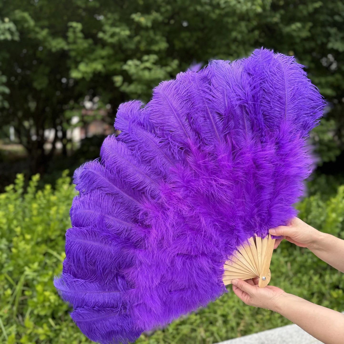 Abanico Grande de Plumas de Avestruz Blancas – Elegante Abanico para Baile y Actuaciones Escénicas (100 cm / 130 cm)