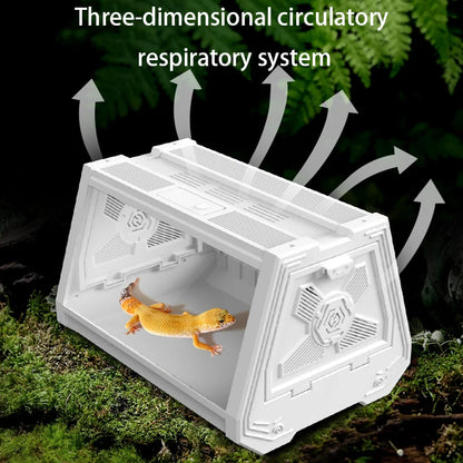Mini Reptile Terrarium Habitat – Escape-Proof Ventilated Desktop Ecological Tank & Breeding Box for Geckos, Snakes, Frogs & Small Reptiles