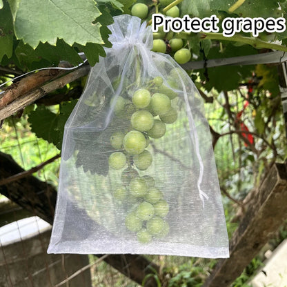 50 sacs de protection pour fruits de vigne – Filets de protection anti-oiseaux pour raisins, plantes de jardin, contrôle des nuisibles, protection des arbres fruitiers et fournitures de jardinage agricole