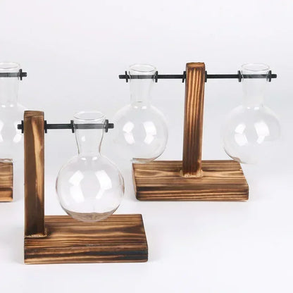Glass Hydroponic Plant Terrarium Vase – Desktop Planter for Home, Office & Indoor Greenery Décor