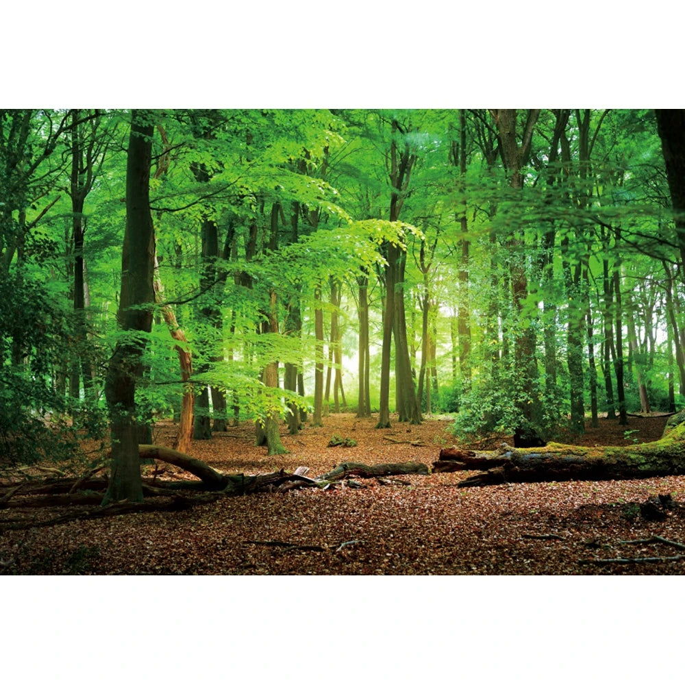 Tropical Jungle Rainforest Backdrop – Spring Forest Photography Background for Camping, Adventure, Birthday Parties & Photo Studio Decor