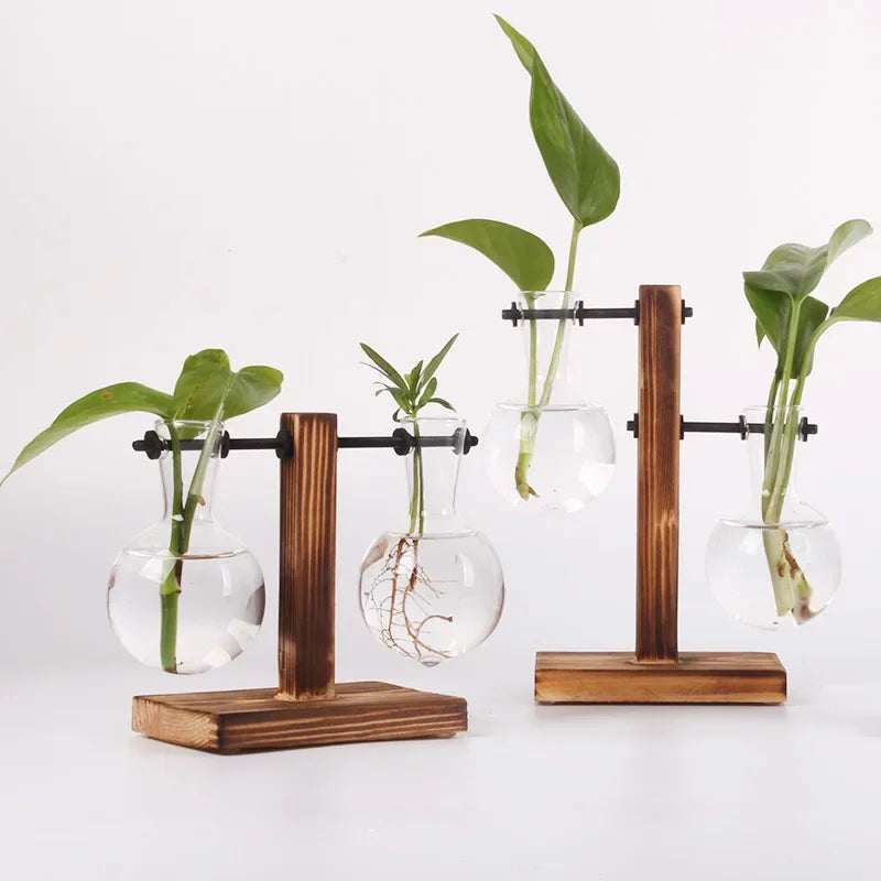 Glass Hydroponic Plant Terrarium Vase – Desktop Planter for Home, Office & Indoor Greenery Décor