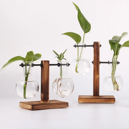 Glass Hydroponic Plant Terrarium Vase – Desktop Planter for Home, Office & Indoor Greenery Décor