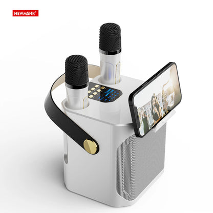 High-Power Portable Karaoke Bluetooth Speaker – 360° Stereo Surround Sound Waterproof Boombox with Wireless Subwoofer & 2 Microphones