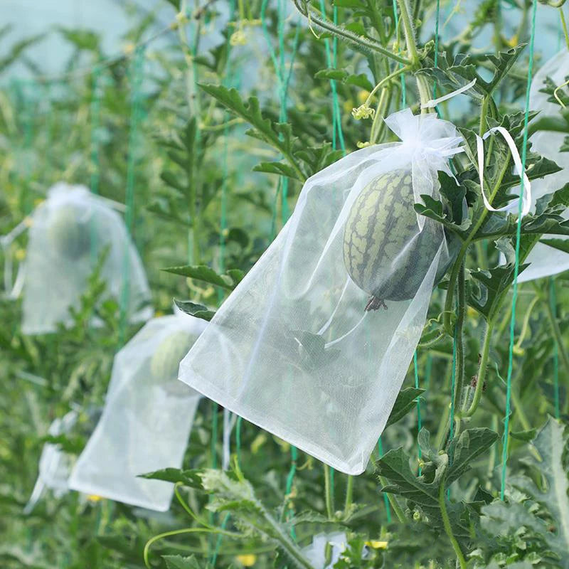 50 sacs de protection pour fruits de vigne – Filets de protection anti-oiseaux pour raisins, plantes de jardin, contrôle des nuisibles, protection des arbres fruitiers et fournitures de jardinage agricole