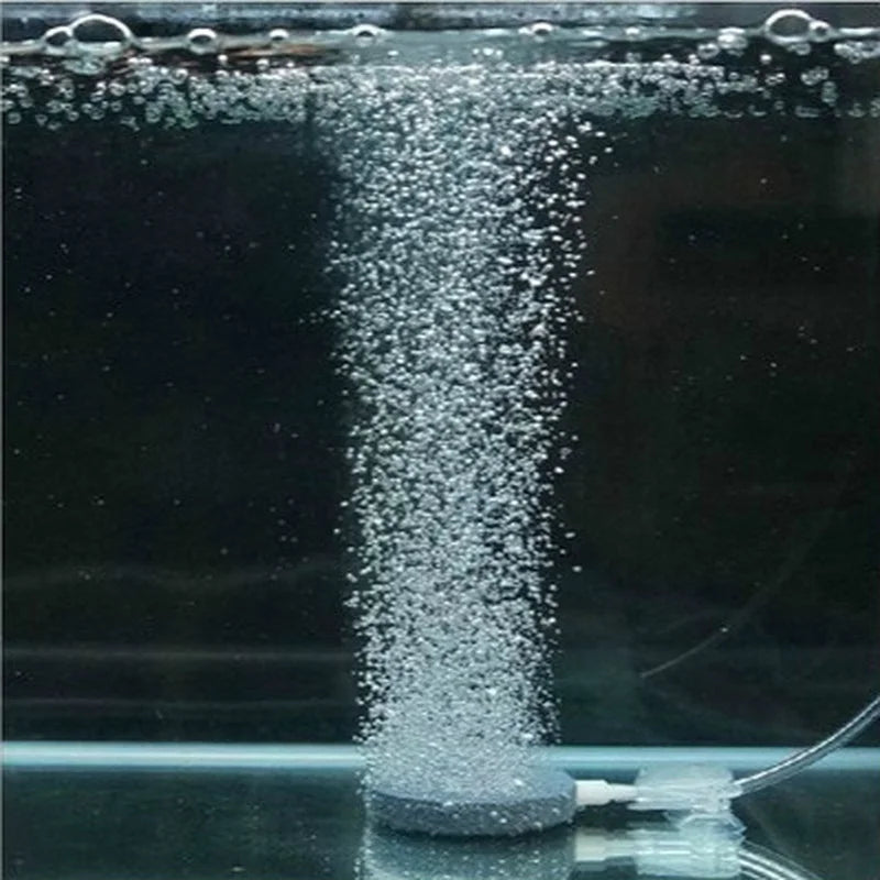 Aquarium Air Stone Bubble Disk – Air Diffuser Aerator for Fish Tank & Pond Pumps, Hydroponic Oxygenation Plate & Aquarium Accessories