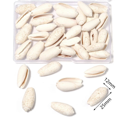 1 Box Tiny Sea Shells – Natural Spiral Seashell & Mini Conch Craft Pieces for Aquarium Decoration, Landscaping, DIY Crafts & Photography Props