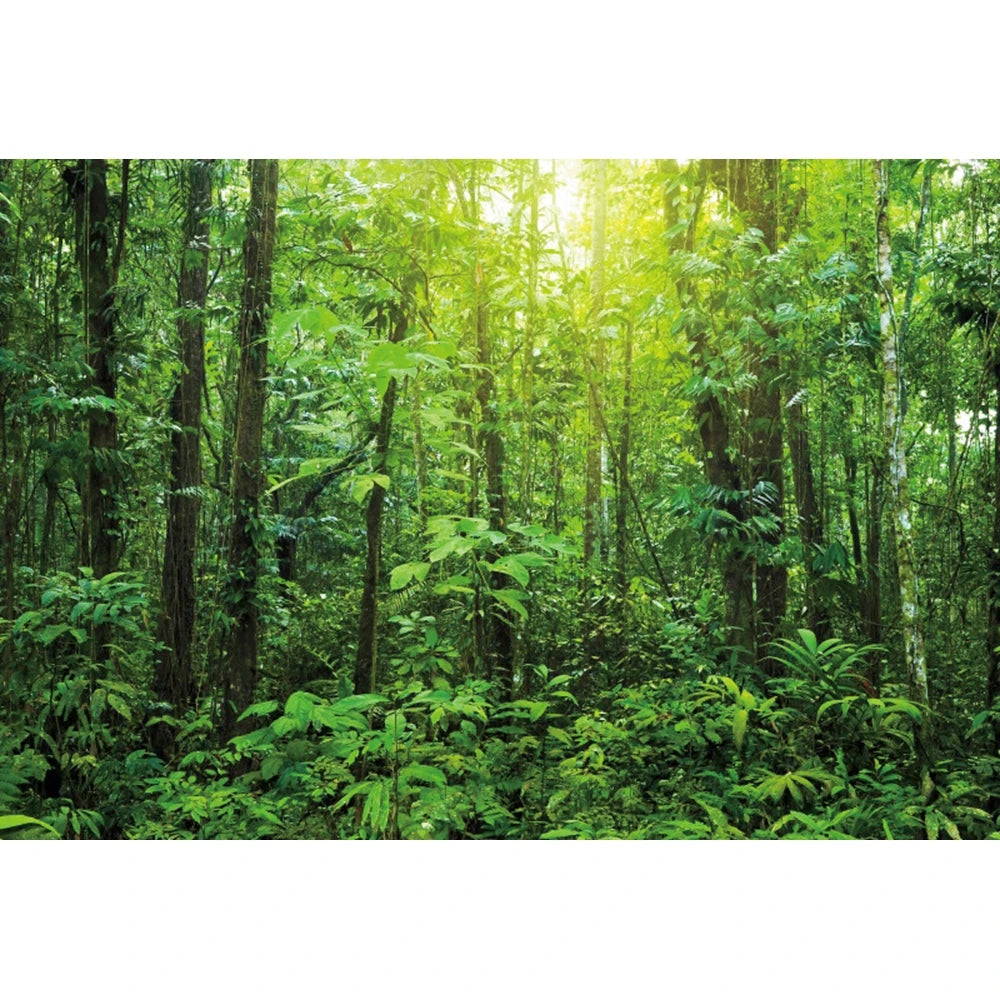 Tropical Jungle Rainforest Backdrop – Spring Forest Photography Background for Camping, Adventure, Birthday Parties & Photo Studio Decor