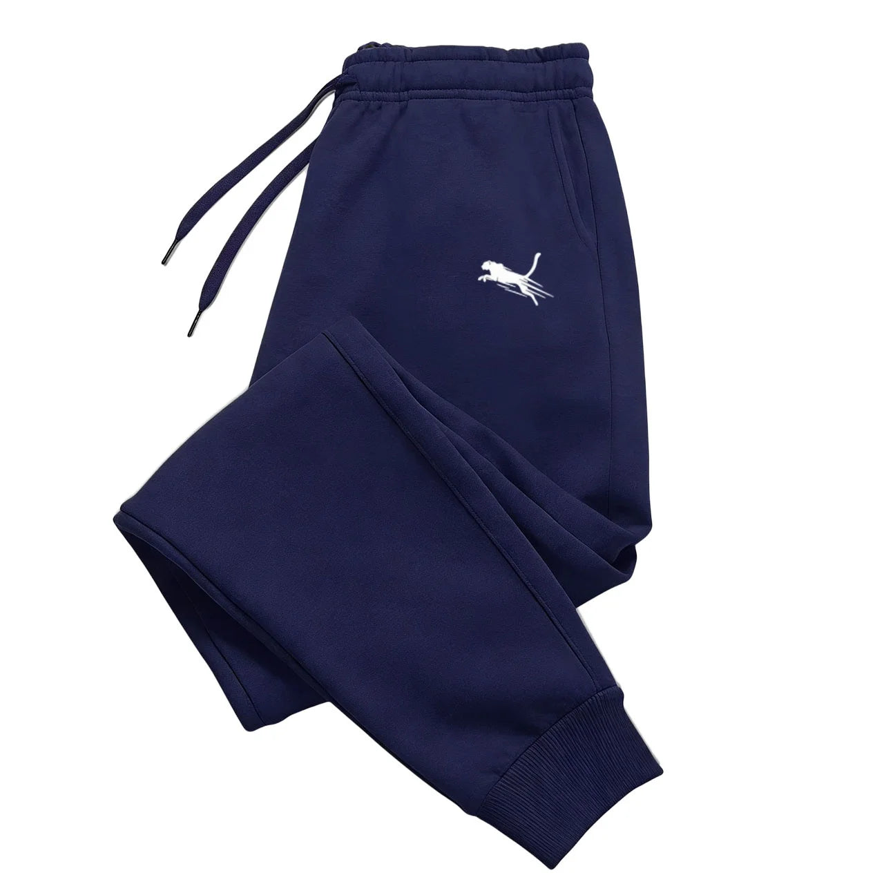 Men's Sports Jogger Pants – Casual Fitness Training Sweatpants for Autumn & Winter Everyday Wear