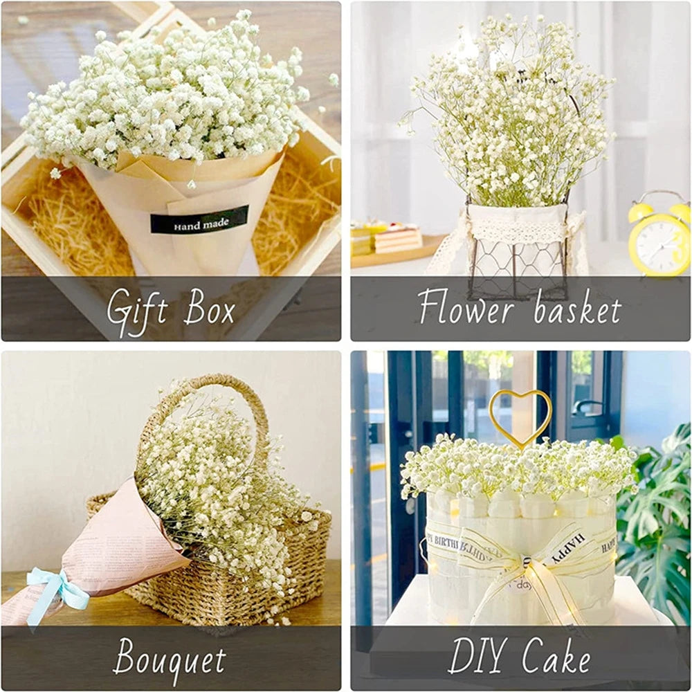 Flores de Paniculata Secas Naturales de 40-50cm – Ramo de Gypsophila Paniculata para Decoración de Bodas, Regalos y Decoración Floral del Hogar