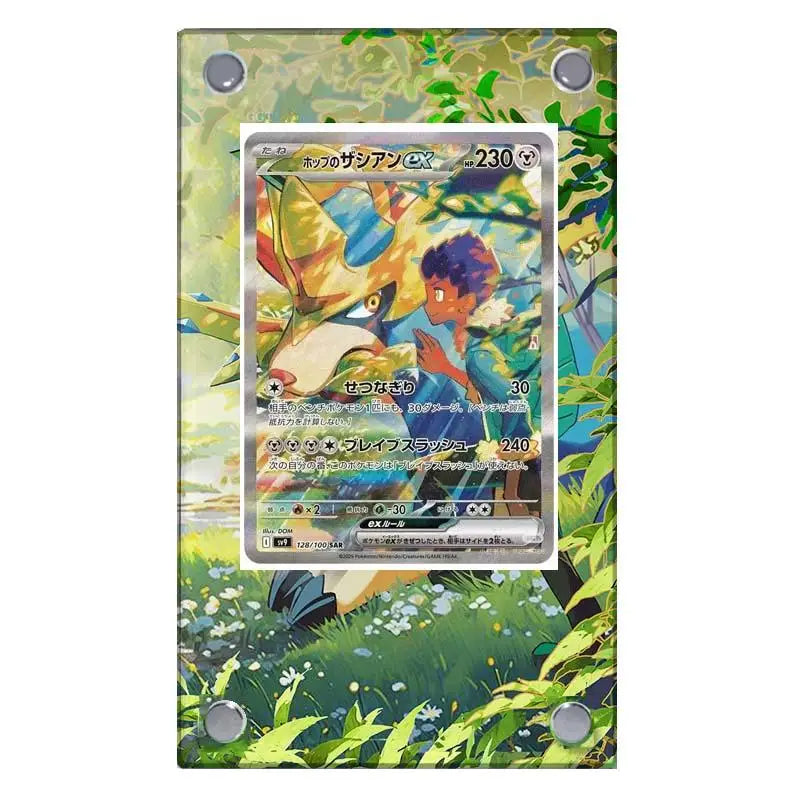 Estuche de exhibición de cartas acrílico Pokémon – Reshiram, Mewtwo, Zekrom, Charizard y soporte protector de cartas de personajes