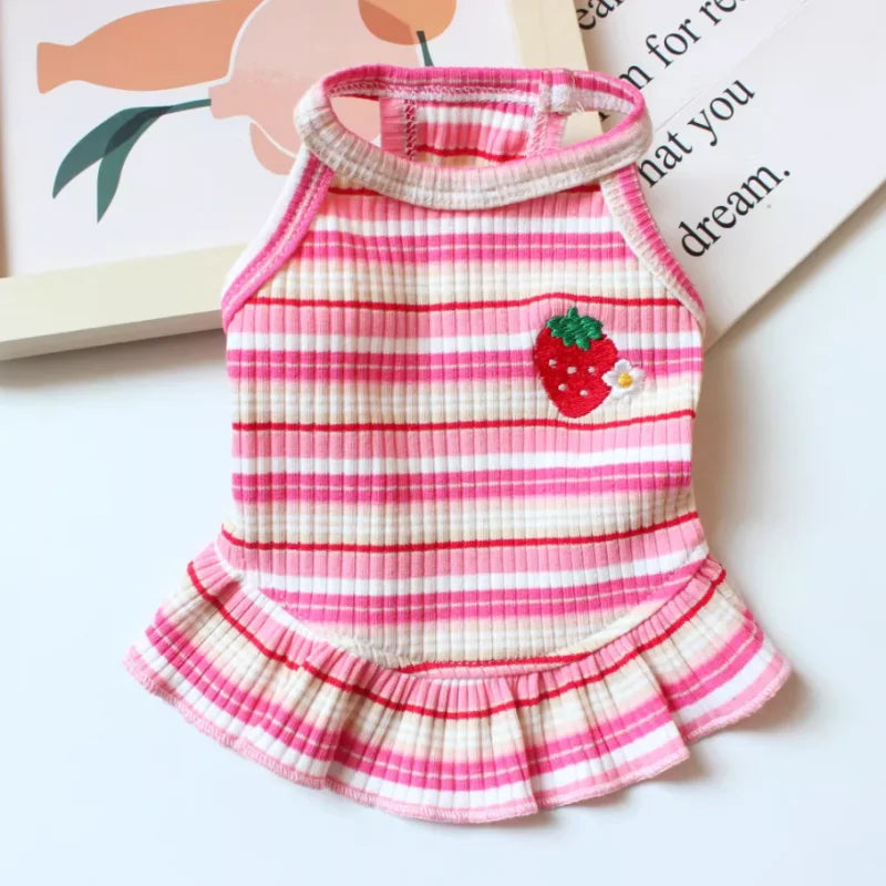 Vestido de verano para cachorros lindos para perros y gatos pequeños – Ropa de encaje a rayas para mascotas, camiseta y falda para perras Chihuahua, Yorkie, Bichon