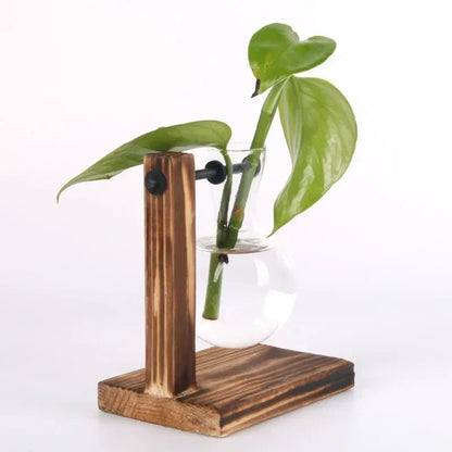 Glass Hydroponic Plant Terrarium Vase – Desktop Planter for Home, Office & Indoor Greenery Décor