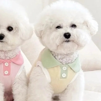 Camiseta de verano para perros, ligera, para cachorros, ropa transpirable para mascotas, camiseta para perros pequeños, ropa de primavera para perros