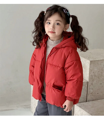 Baby and Toddler Winter Jacket 2-6 Years, Thick Warm Hooded Coat for Boys and Girls, Windproof Children’s Outerwear Snowsuit