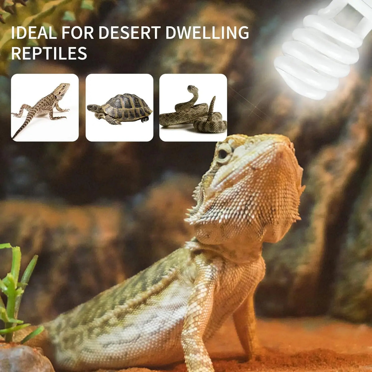 UVB 5.0/10.0 Reptile Heat Lamp Bulb – 13W/26W Energy-Saving UVB Lighting for Terrariums, Turtles, Lizards & Snakes