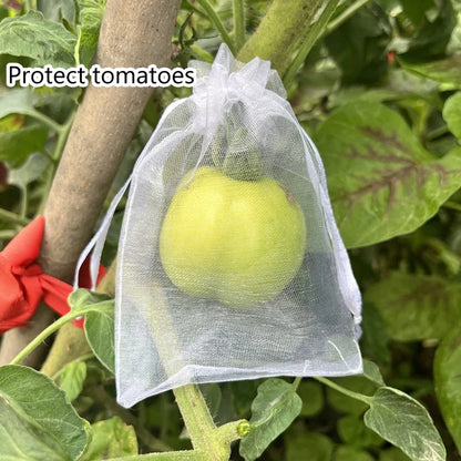 50 sacs de protection pour fruits de vigne – Filets de protection anti-oiseaux pour raisins, plantes de jardin, contrôle des nuisibles, protection des arbres fruitiers et fournitures de jardinage agricole