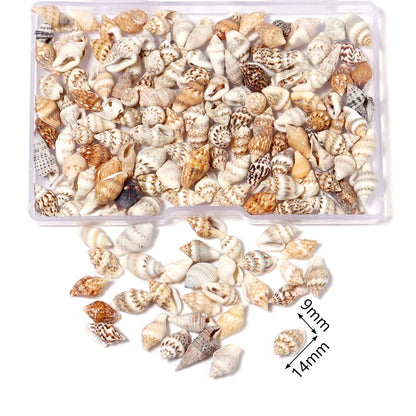 1 Box Tiny Sea Shells – Natural Spiral Seashell & Mini Conch Craft Pieces for Aquarium Decoration, Landscaping, DIY Crafts & Photography Props