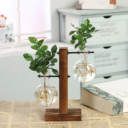 Glass Hydroponic Plant Terrarium Vase – Desktop Planter for Home, Office & Indoor Greenery Décor