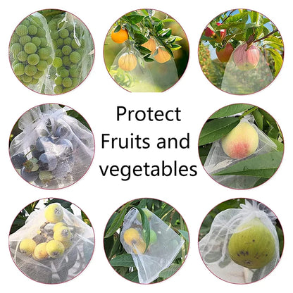50 sacs de protection pour fruits de vigne – Filets de protection anti-oiseaux pour raisins, plantes de jardin, contrôle des nuisibles, protection des arbres fruitiers et fournitures de jardinage agricole