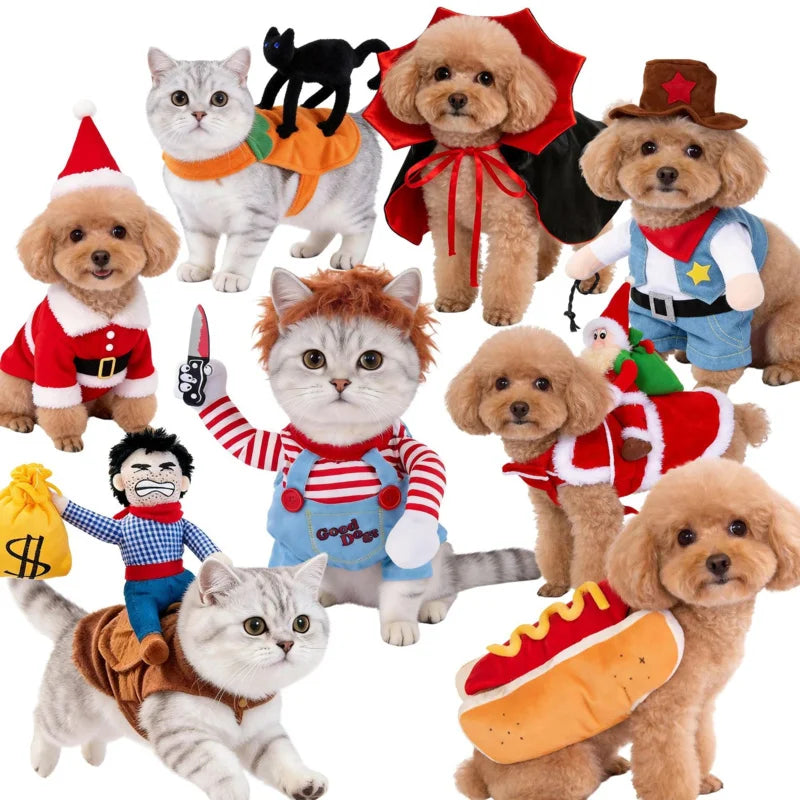 Funny Halloween Pet Transformation Costume – Cute Costume Outfit for Small Dogs & Cats, Creative Pet Clothing for Halloween Parties & Dress-Up