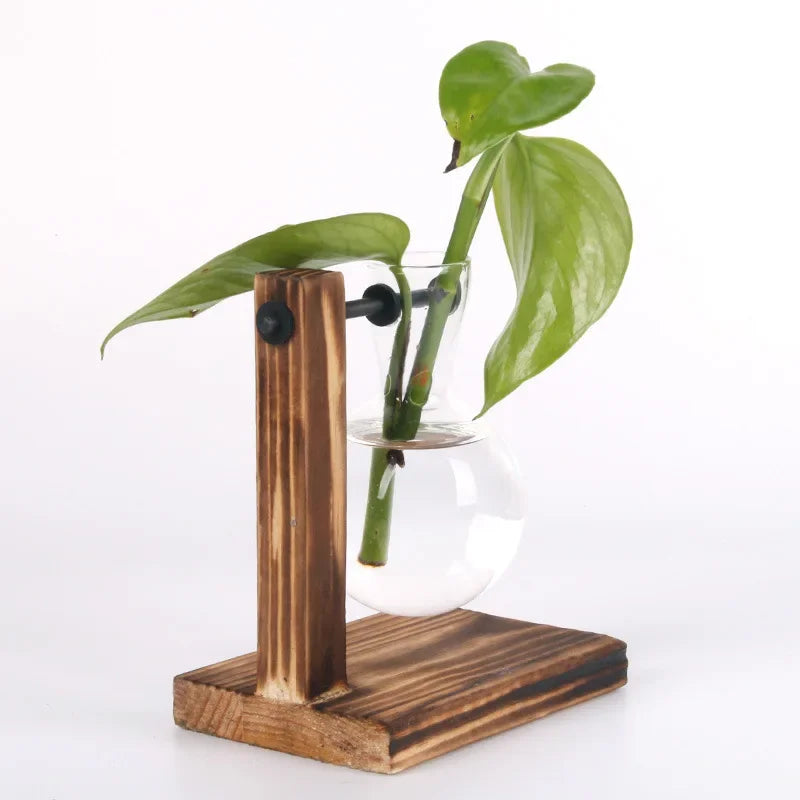 Glass Hydroponic Plant Terrarium Vase – Desktop Planter for Home, Office & Indoor Greenery Décor