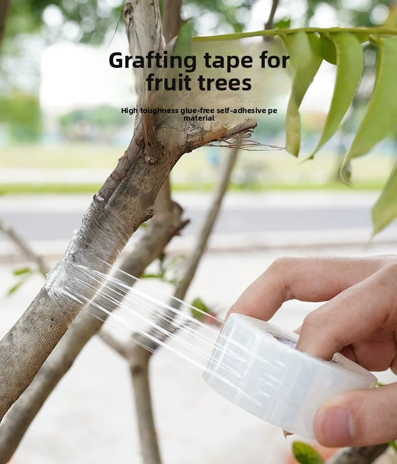 Película de cinta de injerto de PE de 200M – Cinta de injerto autoadhesiva para árboles frutales, plántulas de vivero, vides, tomates, floristería y suministros de jardinería