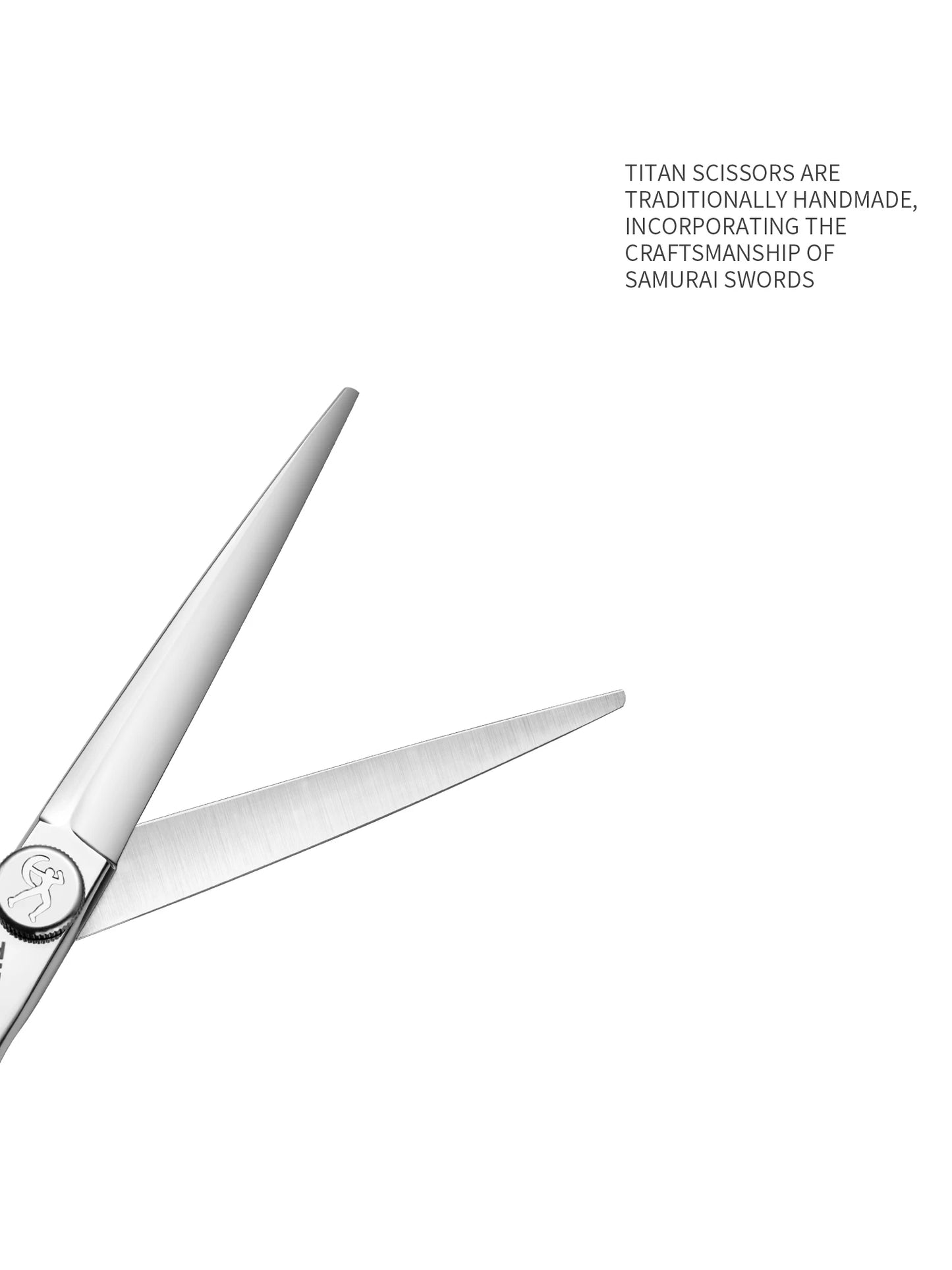 Titan 6 Inch Professional Hair Scissors – Barber Hair Cutting Shears for Salon & Hairdressing Tools | Stainless Steel Styling Scissor